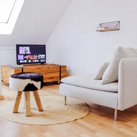 Grosse City-wohnung, Salt Apartament *