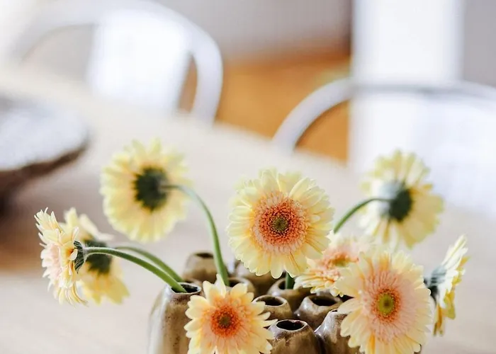 Apartmán Grosse City-wohnung, Salt Weißenfels