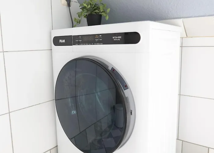 Grosse City-wohnung, Salt * Weißenfels